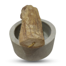 Suvarna Vacha Stick for Suvarna Prashan - Pack of 2 Pcs