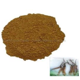 Pushkarmool Churna – Inula racemosa Powder - 200gms