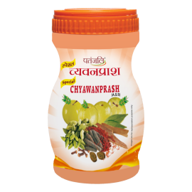 Patanjali Special Chyawanprash 1kg
