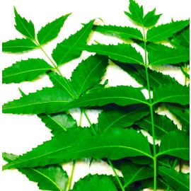 Neem Leaves tablet 500gms - for skin problems