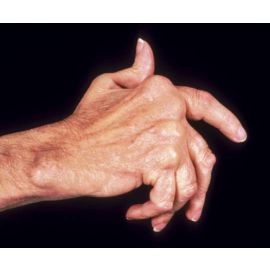 Popular Package - 90 Days