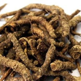 Katuki Mool - Picrorhiza Kurroa Root Raw, 500 Gm