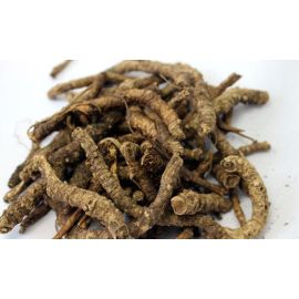 Redefined Pure Kutki Roots (Picrorhiza kurrooa) Raw Loose Packed, 500gm