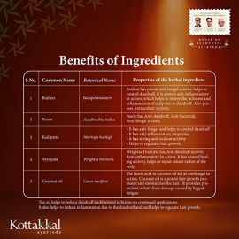 Kottakkal Ayurveda Anti Dandruff Hair Oil - 150ml