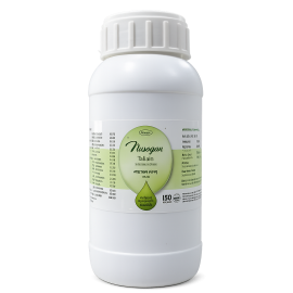 Narayan Tailam (500ml) by Nagarjun 
