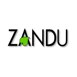 ZANDU BANGA BHASMA - 5GM