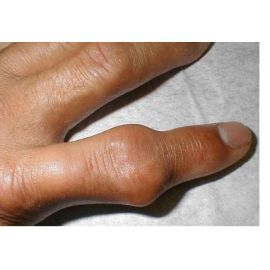 Trial Package - 15 Days