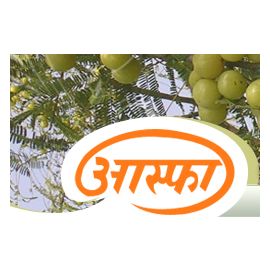 AMRAKSHASHI VATEE 10 GM. asfa