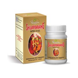 Dhootapapeshwar Shilapravang Special – 30 Tablets | Ayurvedic Formula for Male Vitality & Performance
