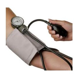 Premium Package - 12 Months