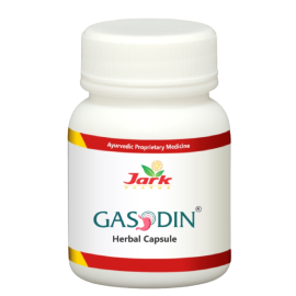 GASODIN HERBAL CAPSULE 30cap.
