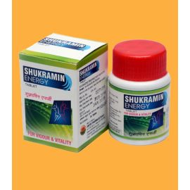 SHUKRAMIN ENERGY TABLET - (Silver Coated)- 100 TAB