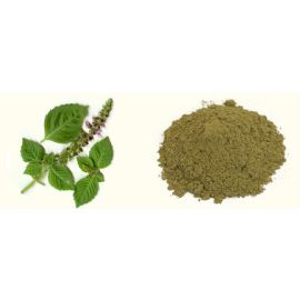 Tulasi patra Churna 100gm