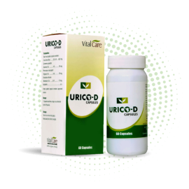 Urico-D Capsules for Detox & Immunity 60 Caps – Vital Care