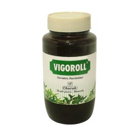 Vigoroll Jelly - 450gms , Herbal health tonic by Charak