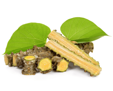 Key Benefits of Giloy : Look Here