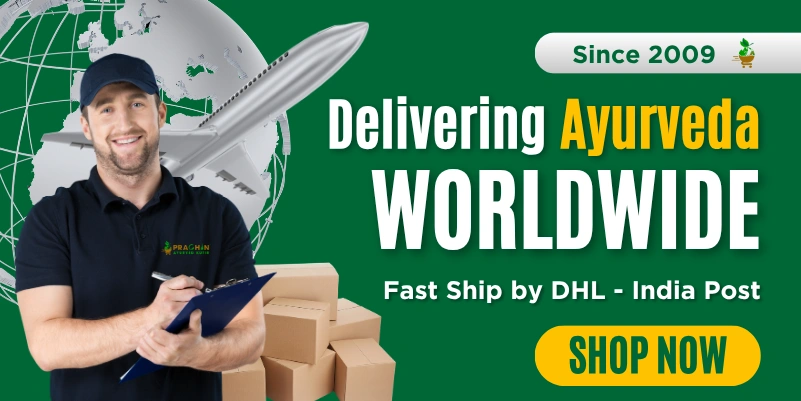 Prachin Slider 3 Mobile